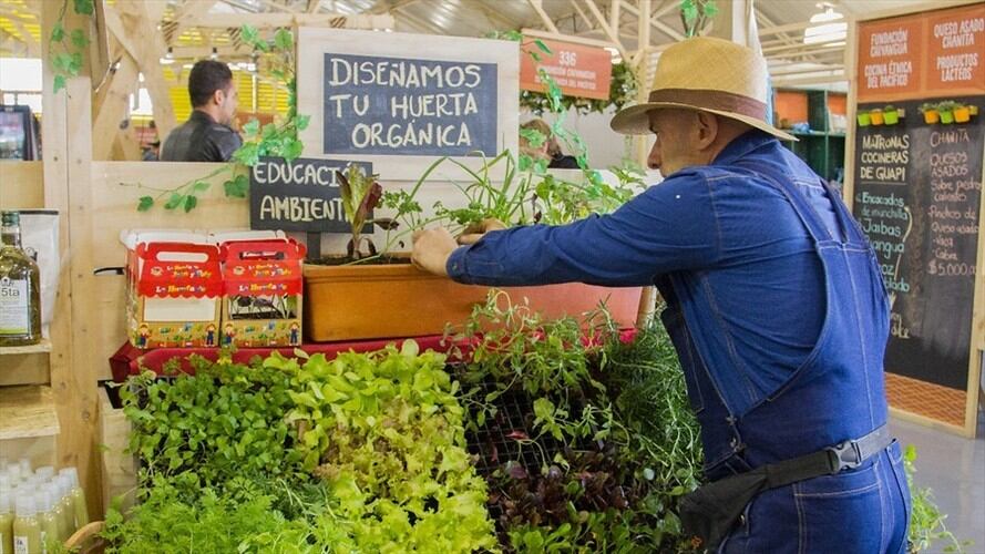 La convocatoria está abierta a proyectos productivos sostenibles y negocios verdes no agropecuarios, debidamente estructurados.. Foto: Colprensa