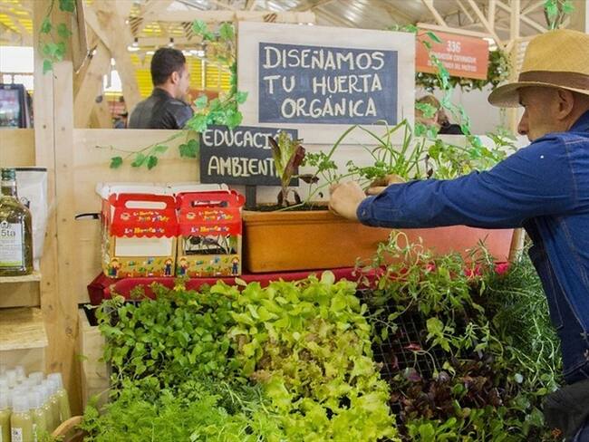 La convocatoria está abierta a proyectos productivos sostenibles y negocios verdes no agropecuarios, debidamente estructurados.. Foto: Colprensa