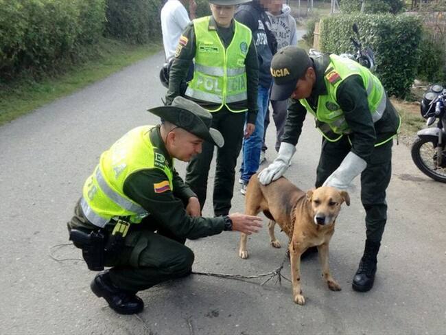 Un individuo fue sorprendido llevando a una perra amarrada a una motocicleta. Foto: Policía Nacional