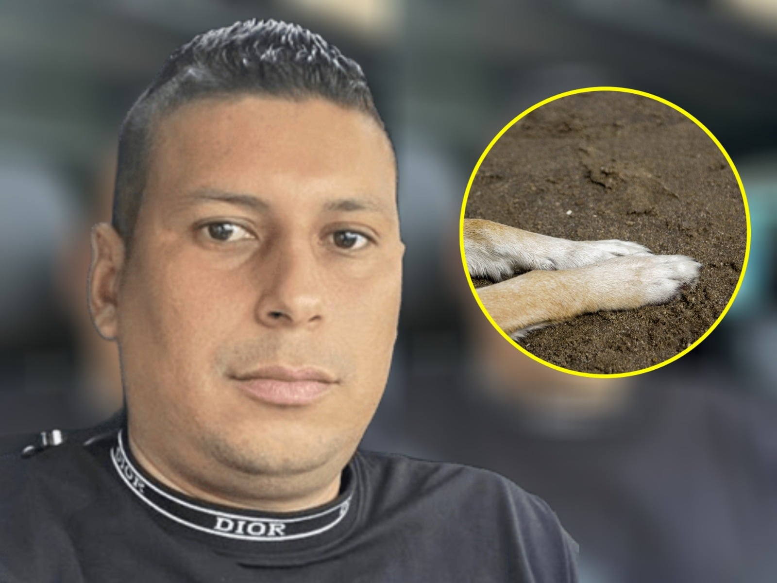 Ofrecen recompensa de $50 millones por agresor de un perro en Antioquia. Foto: Cortesía, Gobernación de Antioquia y Getty Images.