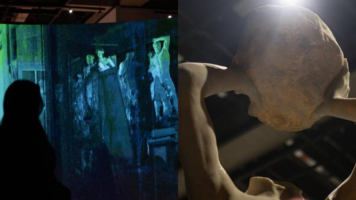 Así es ‘The Cast’, la exposición artística en Bogotá que recorre la historia del cine