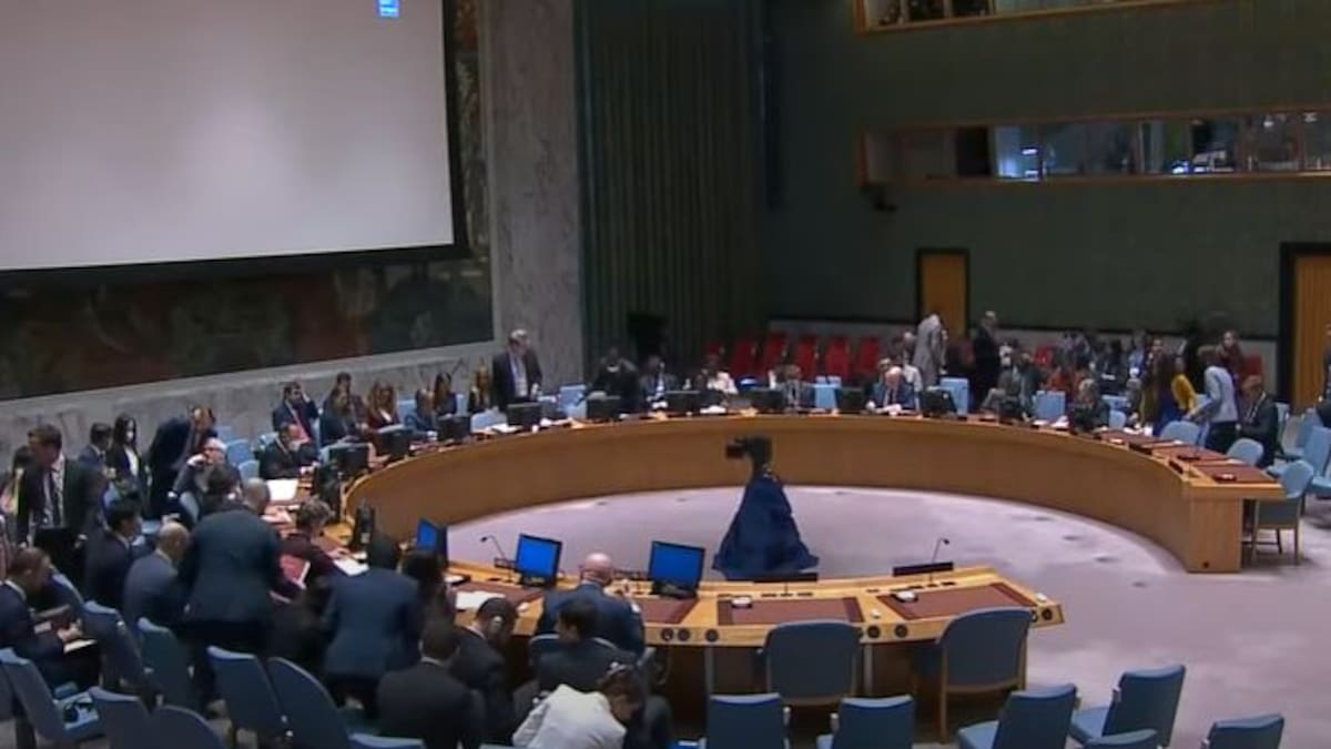 Consejo de Seguridad de ONU pide al Gobierno consolidar ceses al fuego