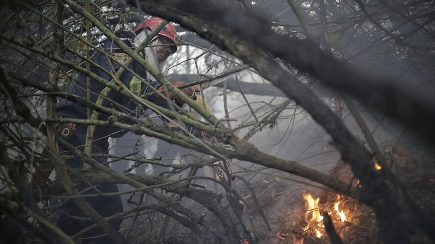 El incendio se originó por la chispa que ocasionó una tormenta eléctrica en esa zona del país hacía las cinco de la tarde del pasado 21 de febrero. Foto: Colprensa