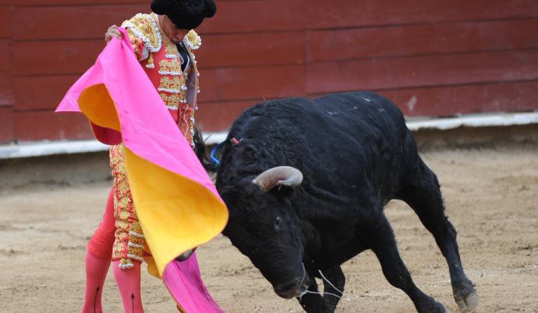 Por primera vez, prohibición de corridas de toros está a un debate de ser ley en Colombia. Imagen de referencia. Foto: