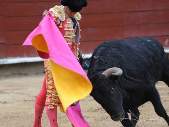 Por primera vez, prohibición de corridas de toros está a un debate de ser ley en Colombia. Imagen de referencia. Foto: