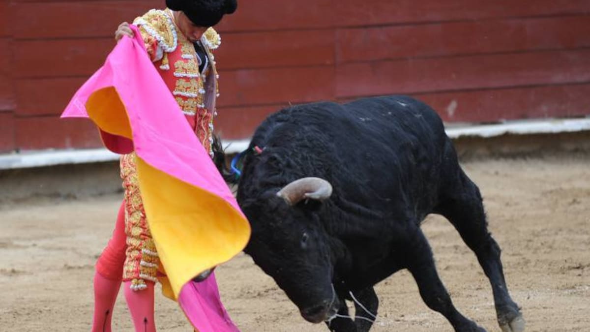 Por primera vez, prohibición de corridas de toros está a un debate de ser ley en Colombia