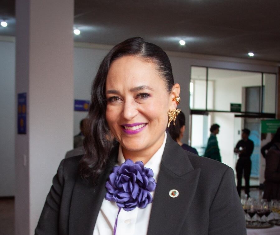 Juanita Villaveces. Foto: Twitter Universidad Nacional de Colombia.
