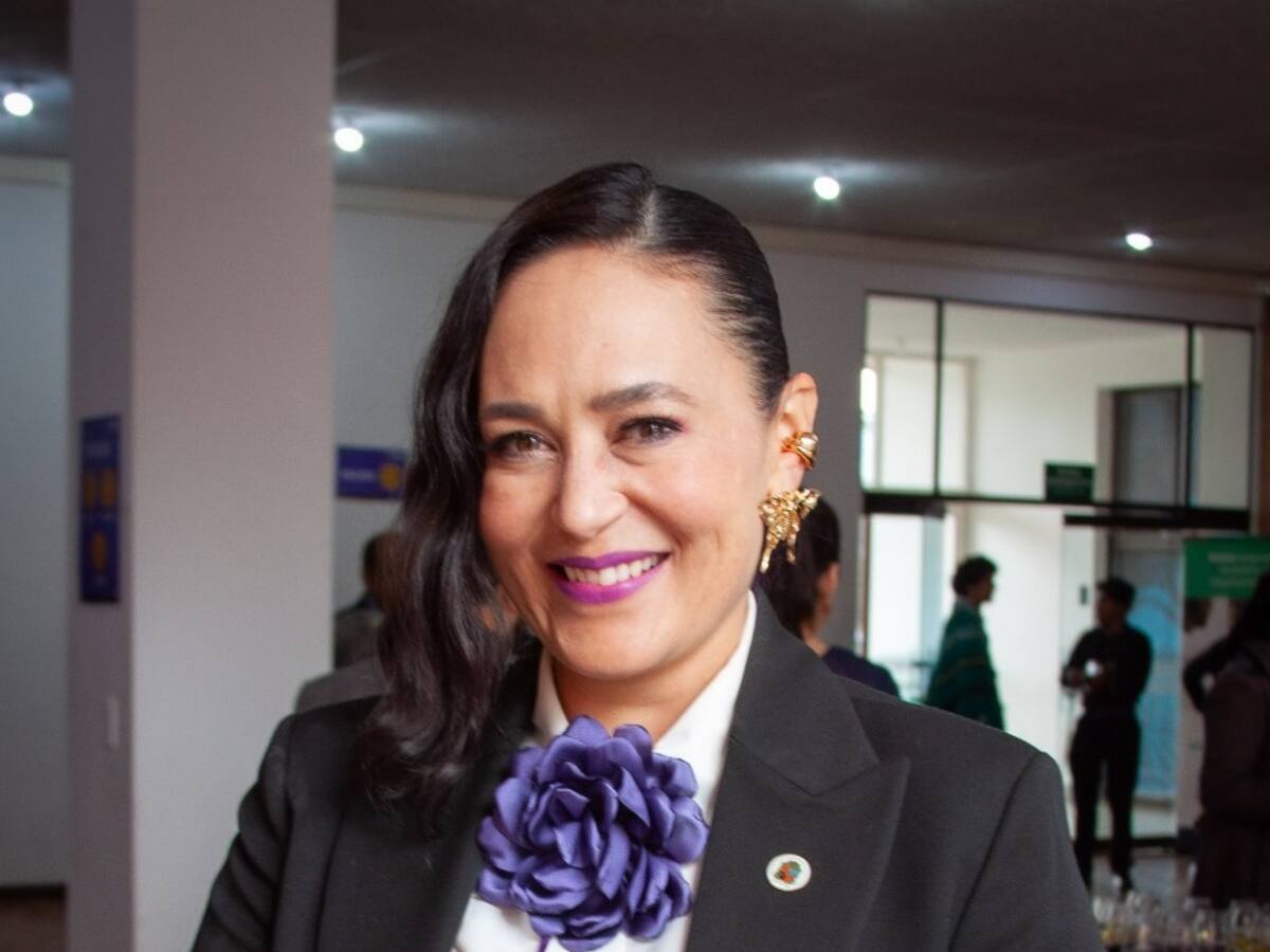 Juanita Villaveces será la nueva viceministra técnica de Hacienda