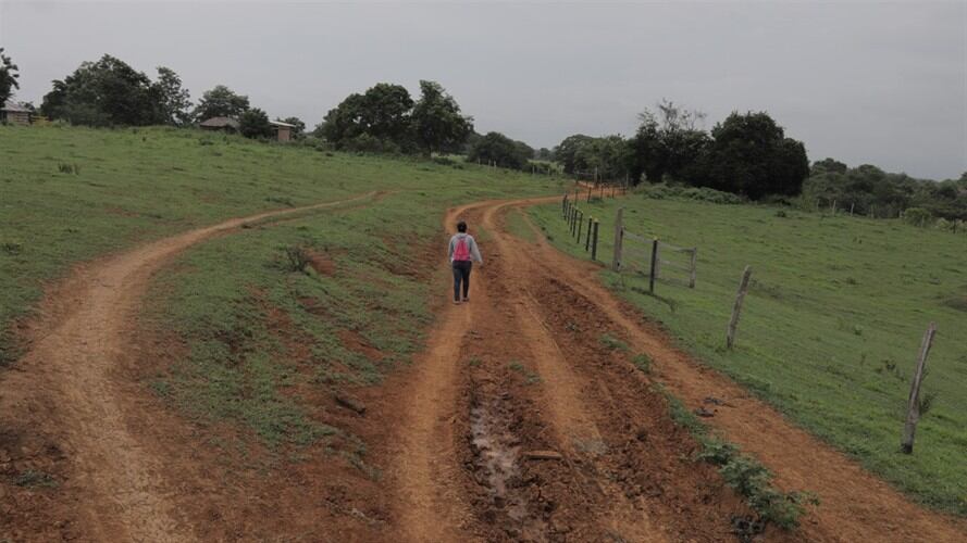 En Sucre, por cuenta del conflicto armado, se produjo un desplazamiento forzado que obligó a algunos campesinos a vender sus predios a la Sociedad Reforestadora del Caribe, hoy Tekia S.A. Foto: Getty Images