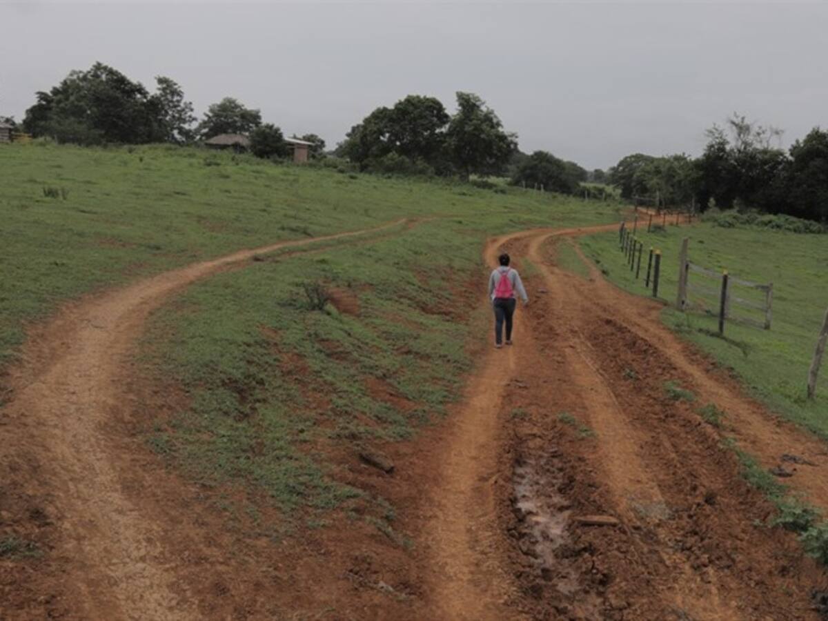Ordenan a empresa de Grupo Argos devolver predios a campesinos víctimas de violencia