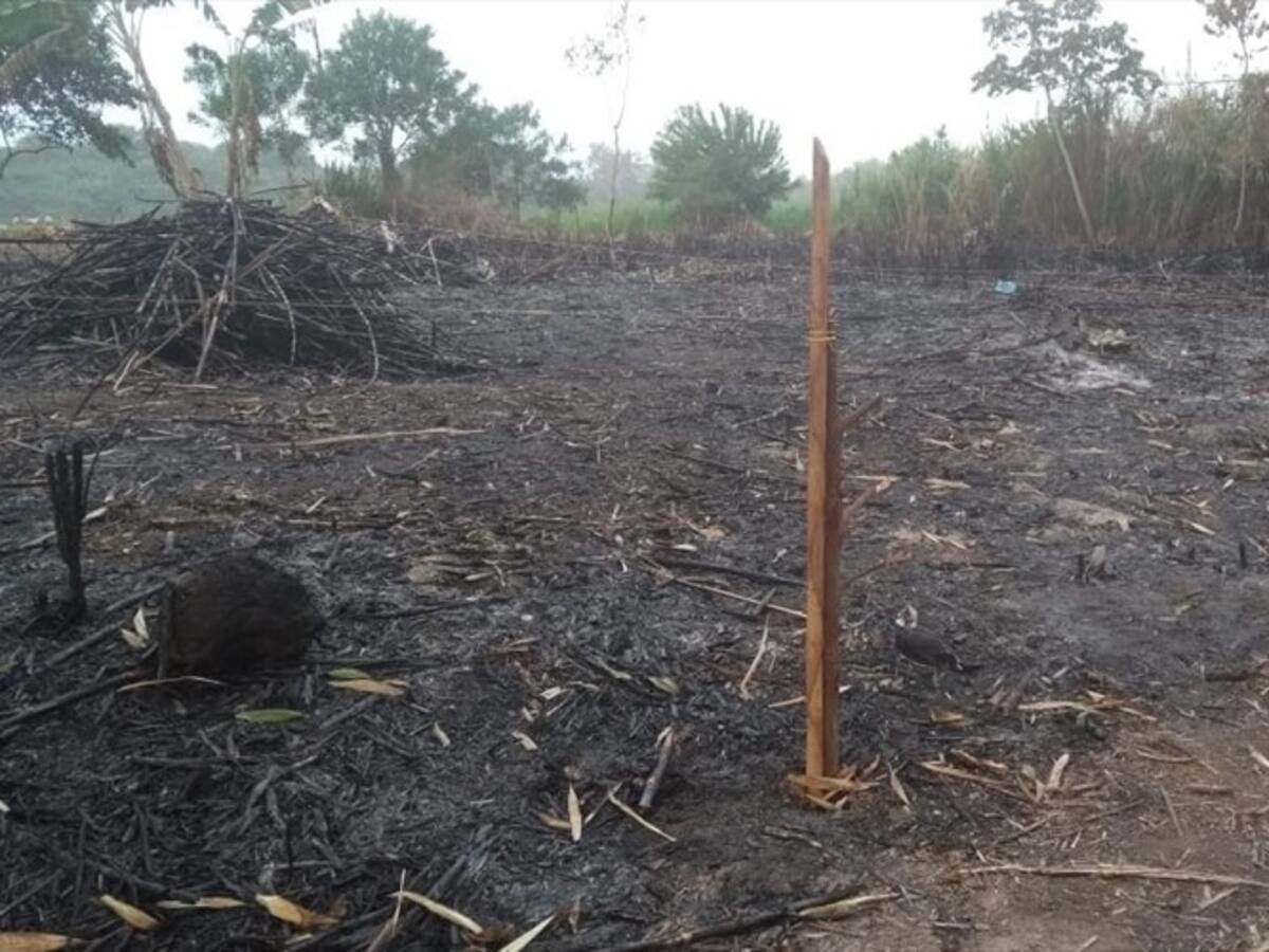 Policía frustra intento de invasión en Parque Sierra Nevada