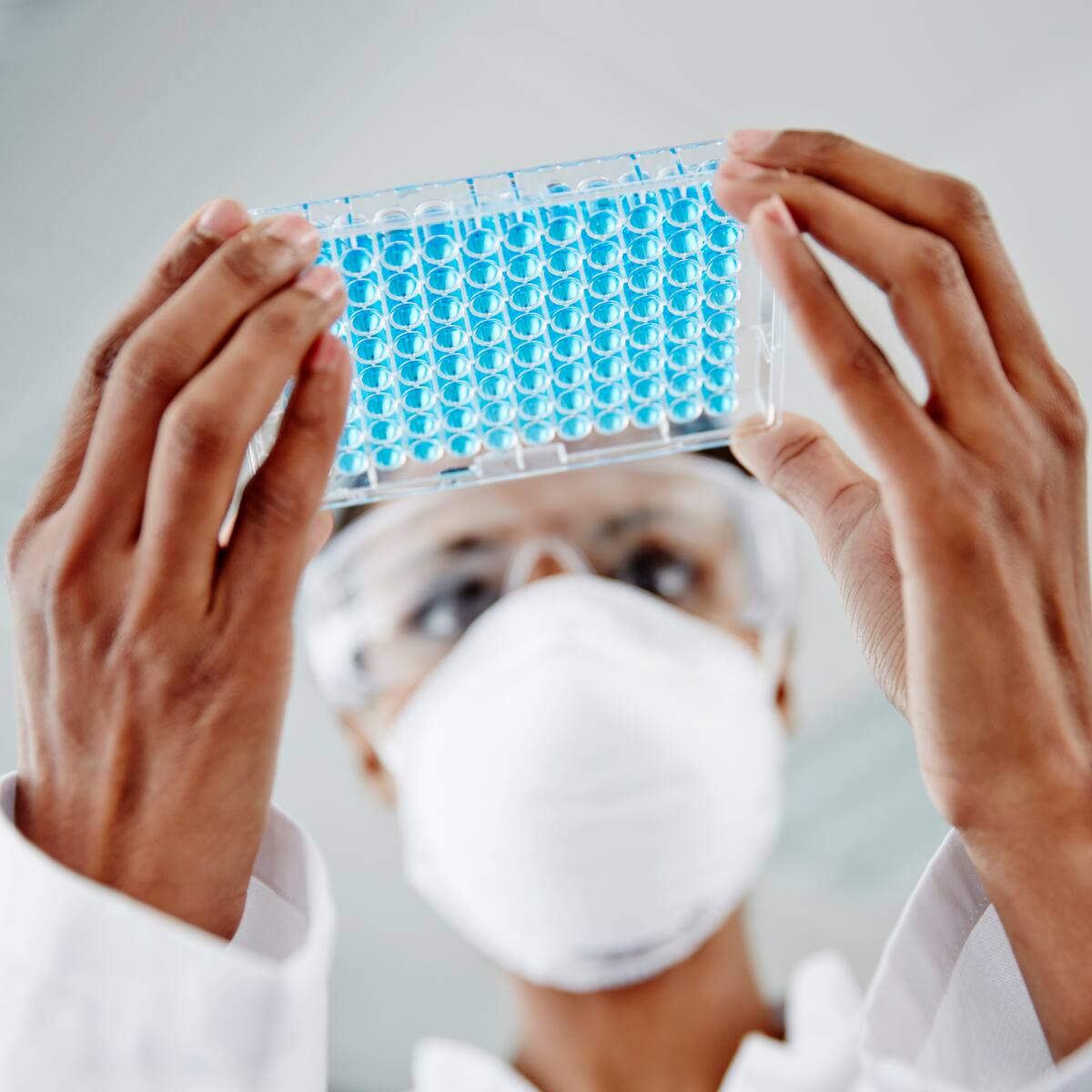 ¿Se puede controlar el proceso de envejecimiento? Así fue el experimento de Harvard