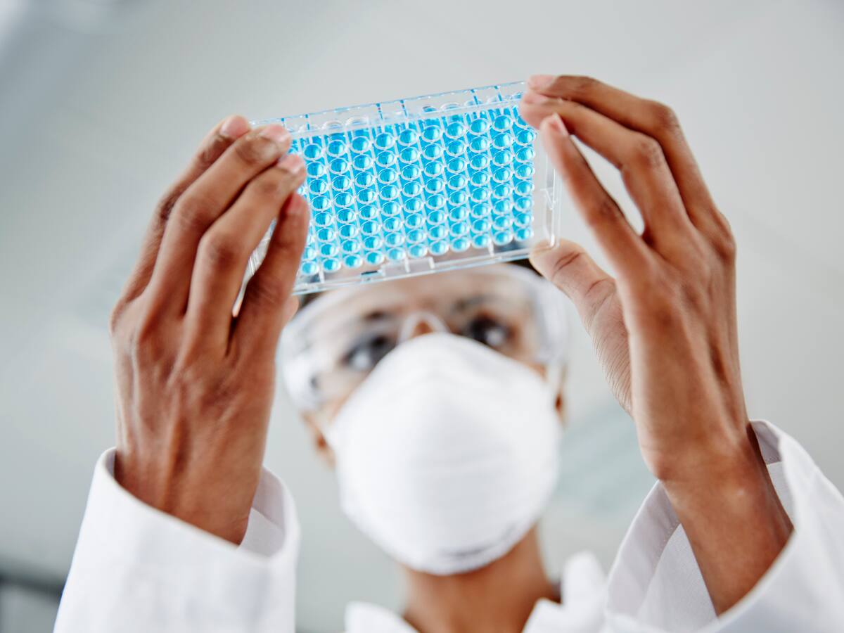 ¿Se puede controlar el proceso de envejecimiento? Así fue el experimento de Harvard