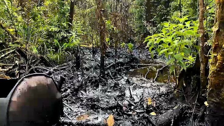 Fuerzas Militares han destruido 160 refinerías ilegales instaladas por disidencias en 2023