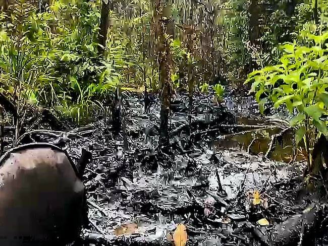 Fuerzas Militares han destruido 160 refinerías ilegales instaladas por disidencias en 2023