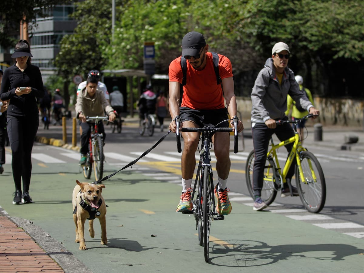 Ciclovía en Bogotá: conozca las nuevas rutas que estarán disponibles
