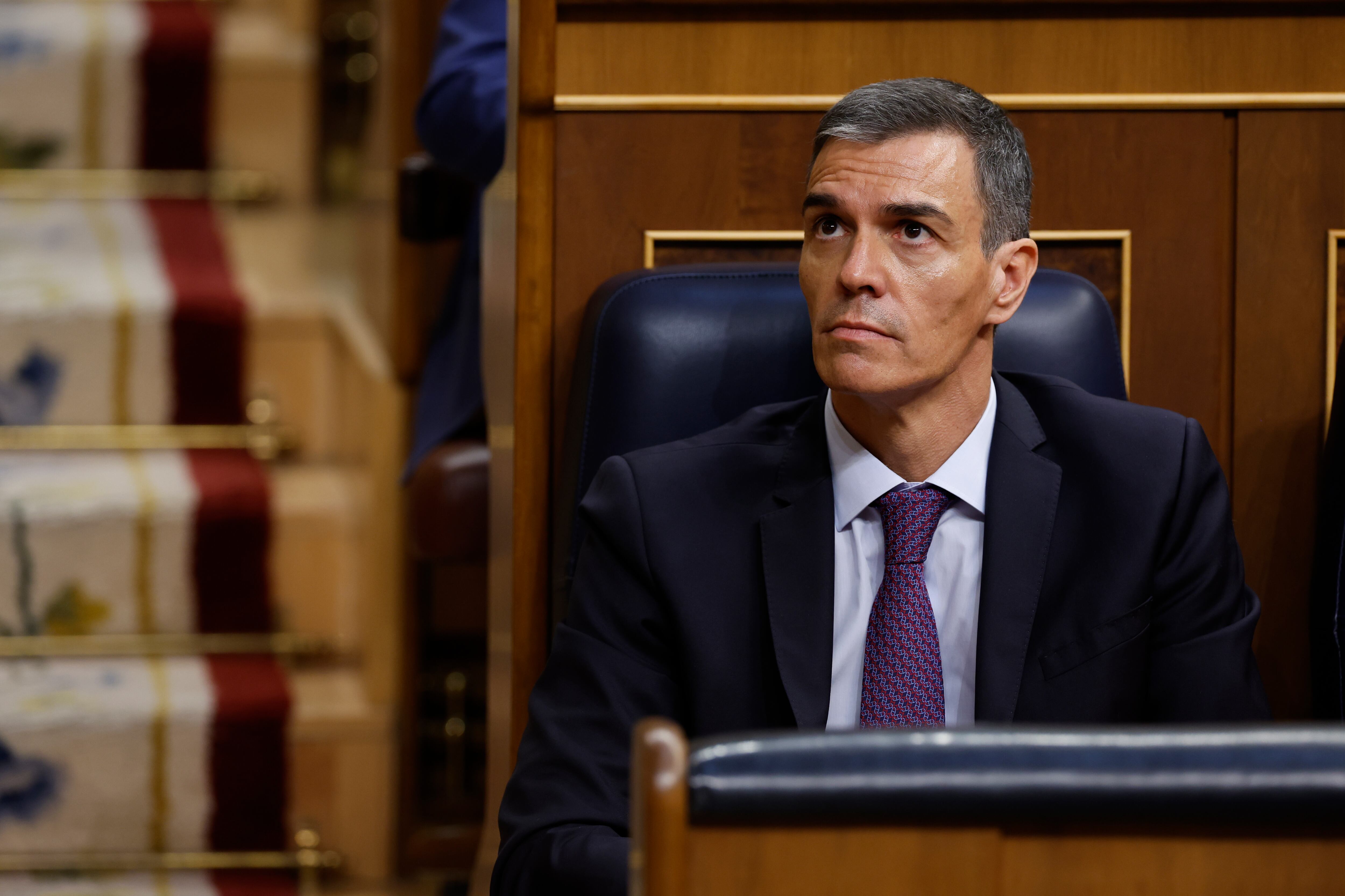 Pedro Sánchez. Foto: EFE/Javier Lizón.