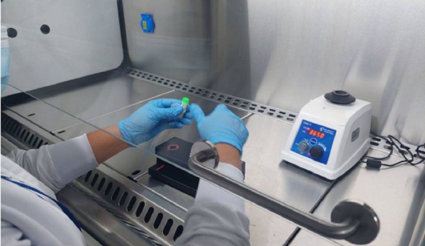 Crédito: Territorial de Salud de Caldas.