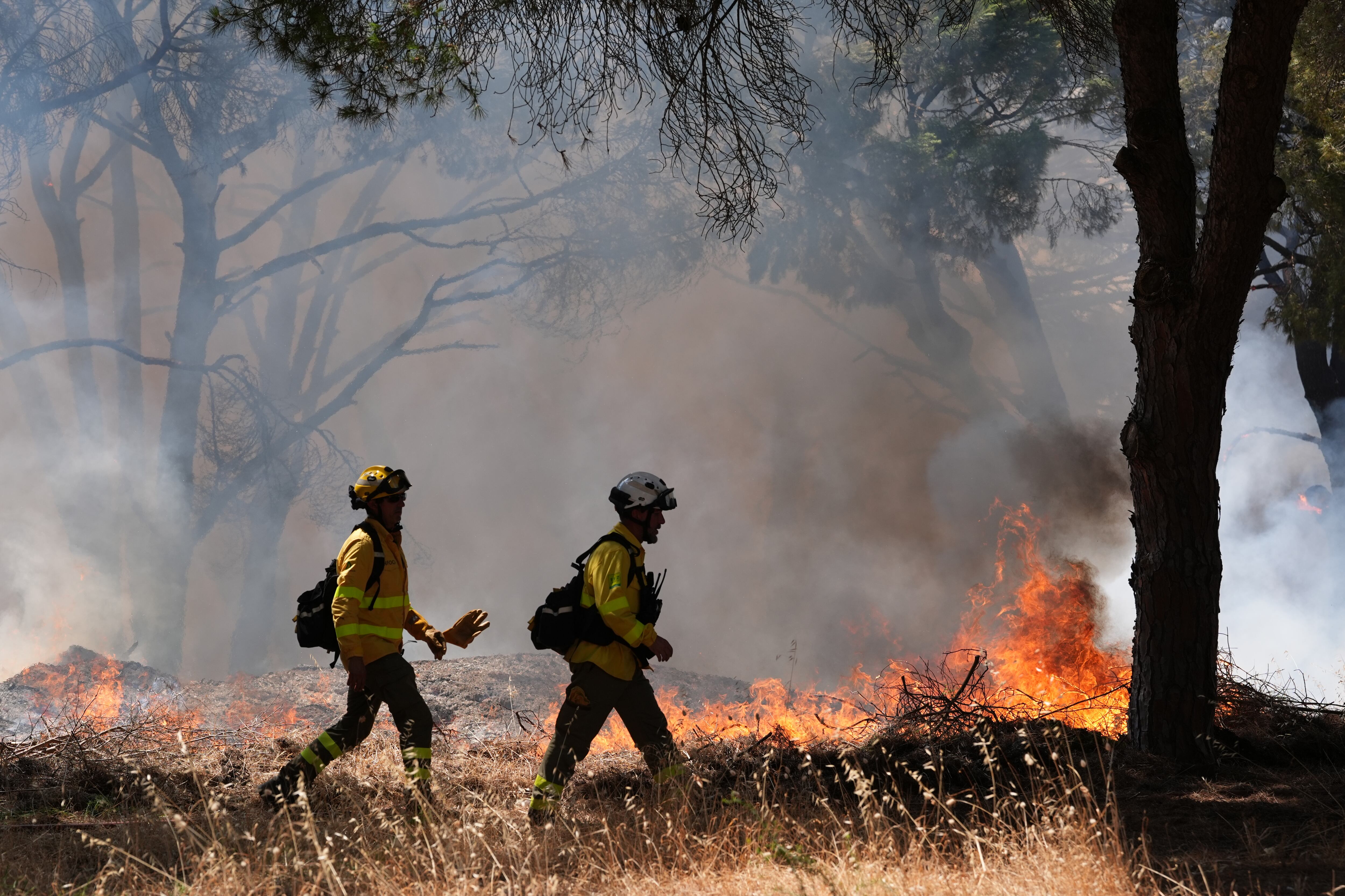  Incendio en Chiclana de la Frontera (Cádiz). EFE