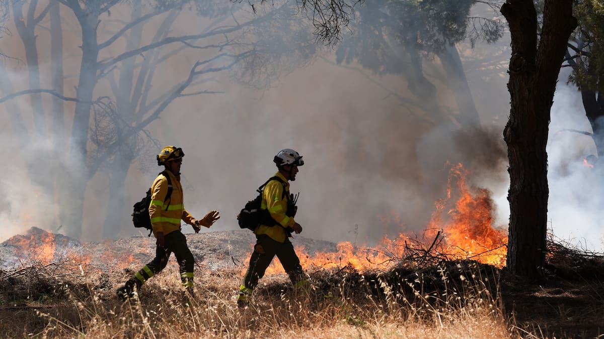 España se enfrenta al primer gran incendio forestal del año, con 1.800 hectáreas quemadas