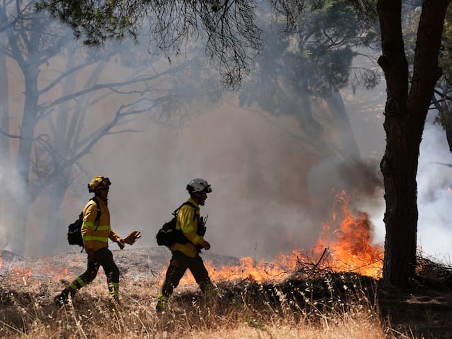 Incendio en Chiclana de la Frontera (Cádiz). EFE