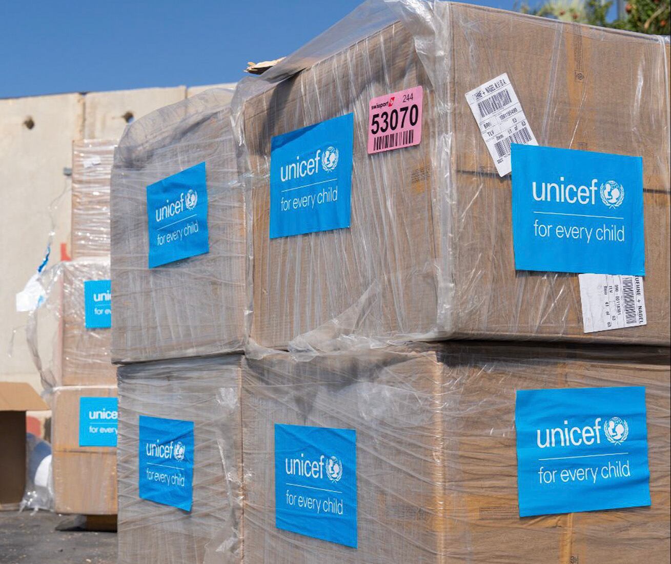 Jerusalén, ayuda humanitaria de vacunas. Imagen de referencia  FOTO: EFE/Ejército de Israel