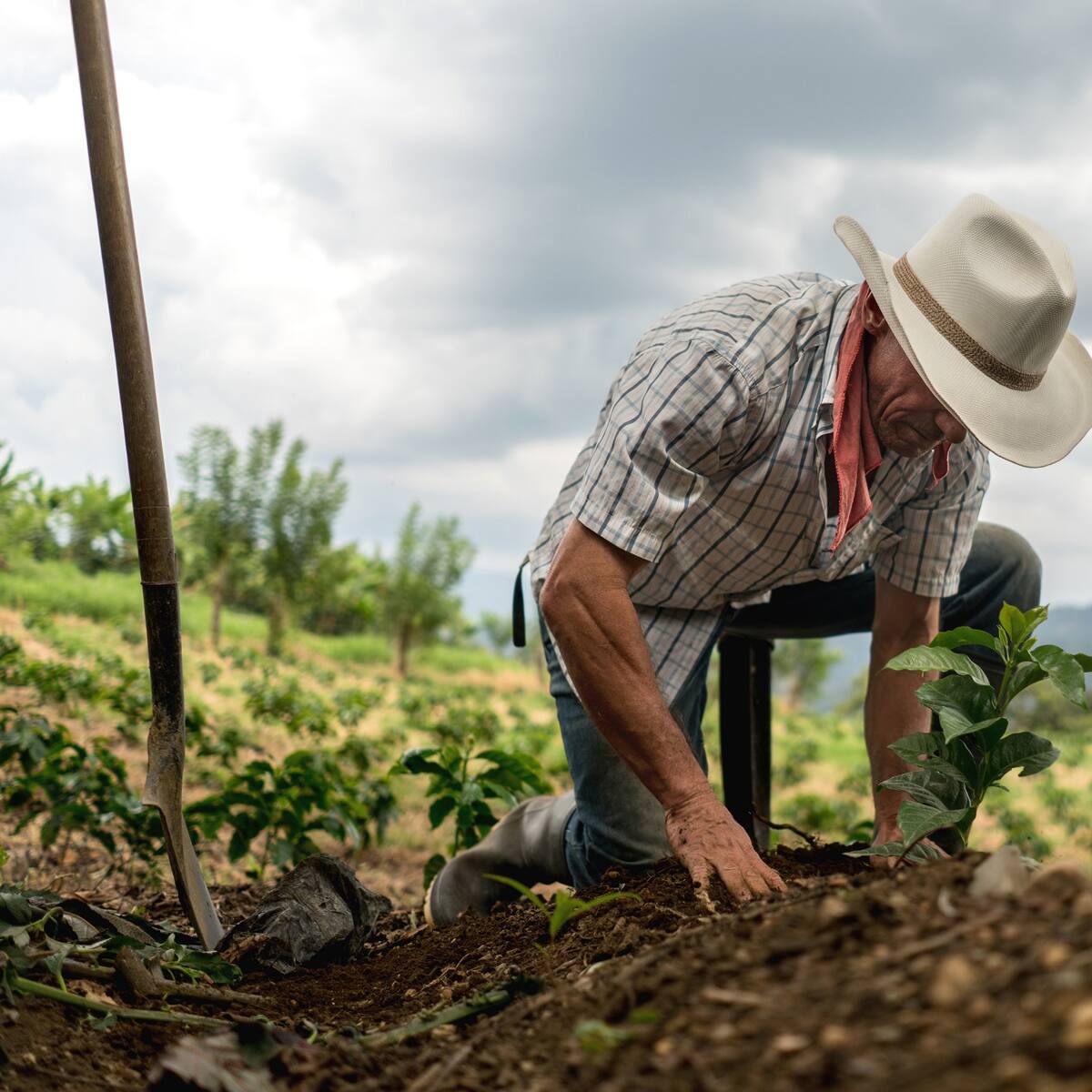 Avanza reforma para reconocer a campesinos como sujetos de derechos
