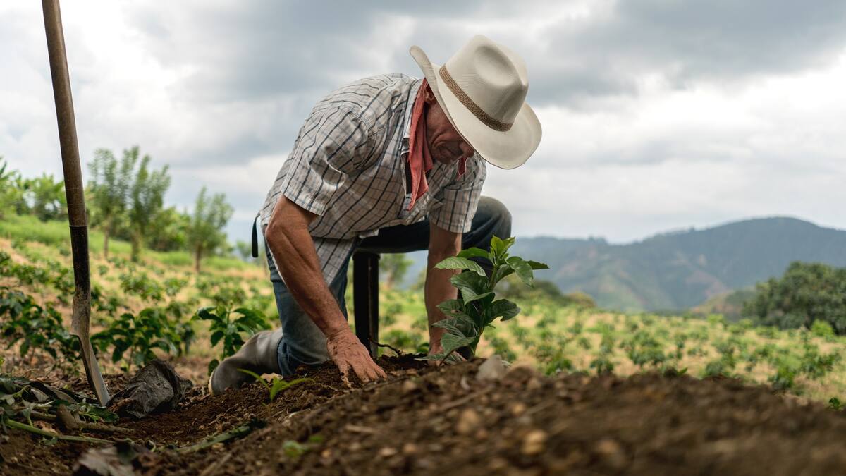 En el Cauca se estableció una nueva Zona de Reserva Campesina