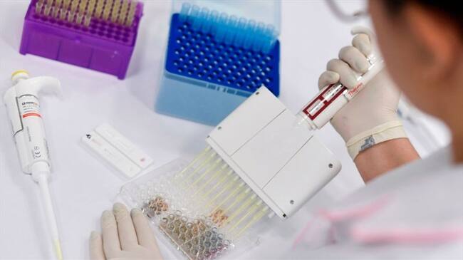 Empresa vendió como propios 1,5 millones de test rápidos de coronavirus hechos en China. Foto: Getty Images