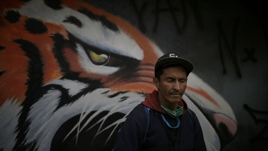 Según cifras del ministerio, las zonas urbanas de Colombia concentran cerca de 32 mil habitantes de calle. Foto: Colprensa