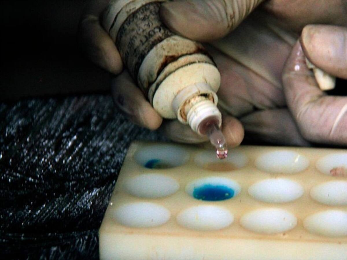 Fue desmantelada red de 'narcovuelos' que enviaba droga a Centroamérica y EE.UU.