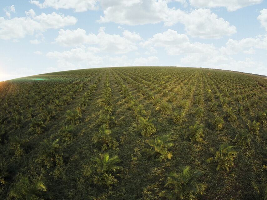 Declaran válida la millonaria sanción de la SIC contra Riopaila Castilla / Imagen de referencia. Foto: Colprensa