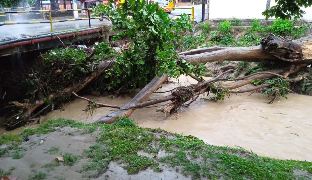 Imagen de referencia