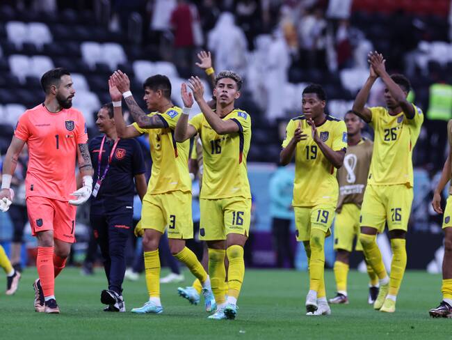 Ecuador ante Qatar. (Photo by Ian MacNicol/Getty Images)
