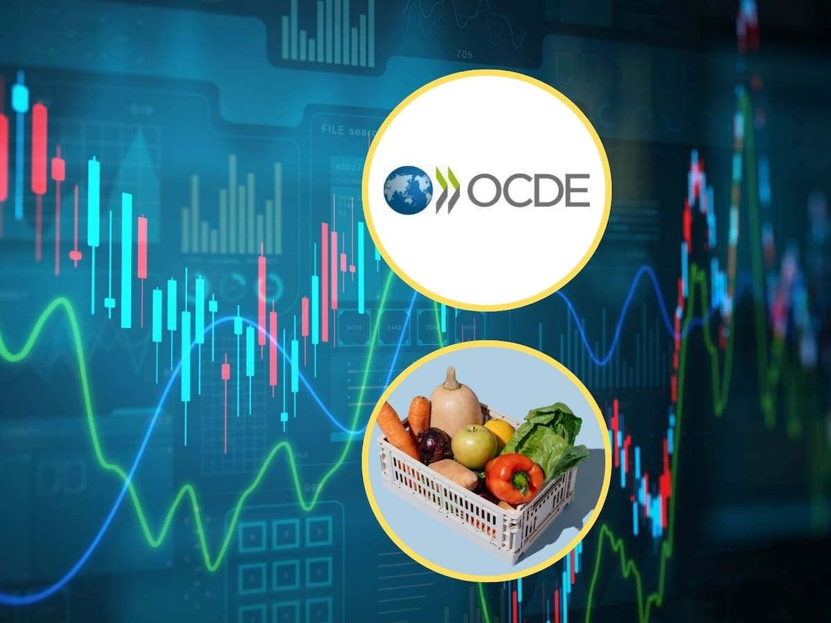 La inflación en la OCDE bajó en noviembre al 3,9% gracias a los alimentos