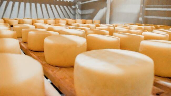 La comercialización del producto se vio afectada por la pandemia.. Foto: Alcaldía de Paipa