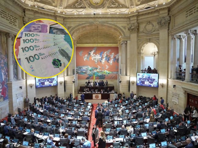 Plenaria del Senado. Foto: Suministrada.