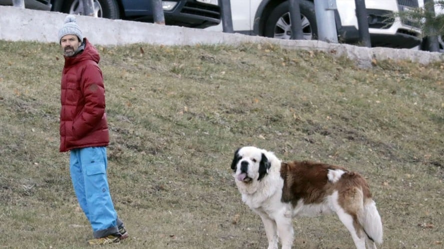 El último deseo de Pau Donés fue grabar junto a su perro 'Fideos'. Foto: Getty Images
