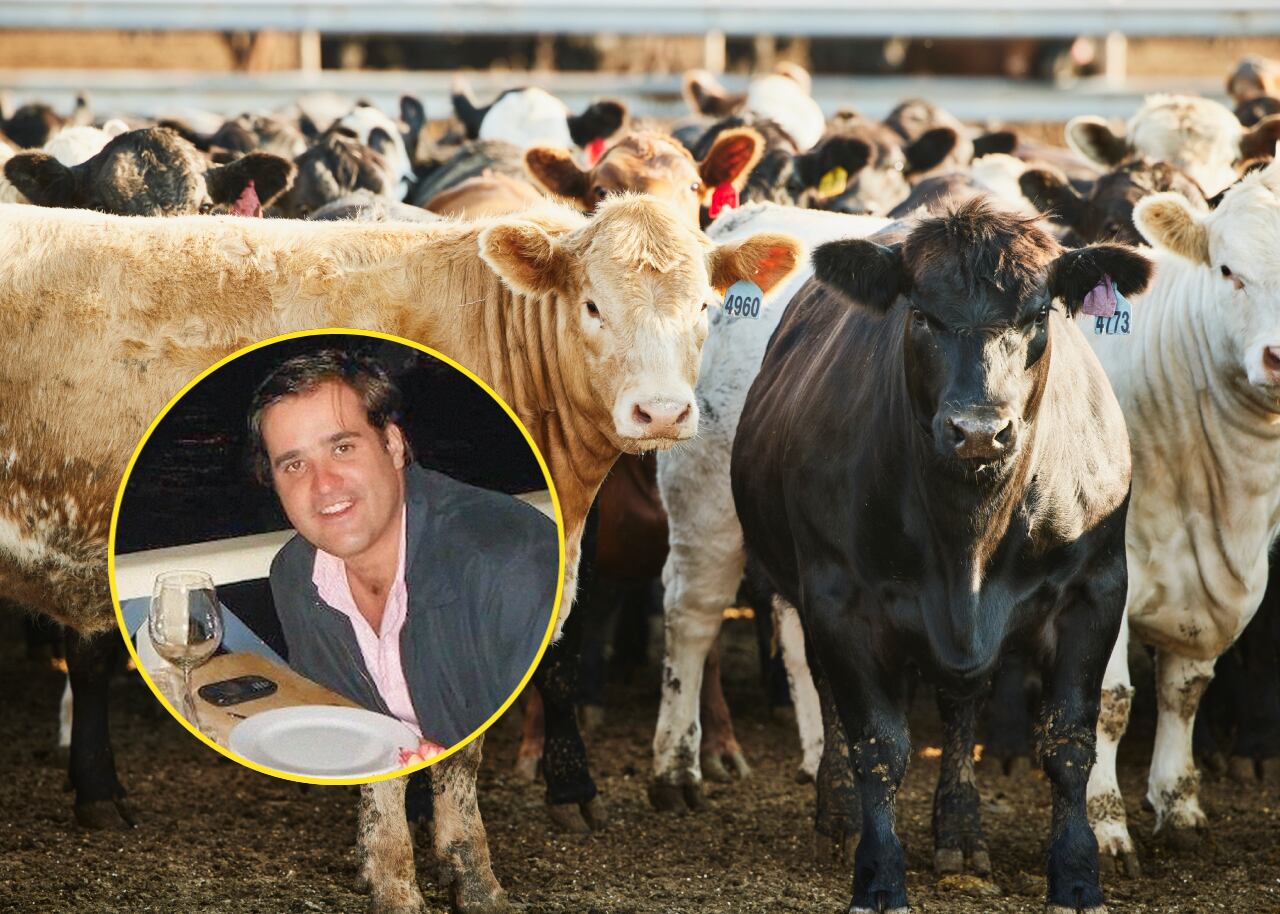 Felipe Rocha y ganado | Foto: GettyImages