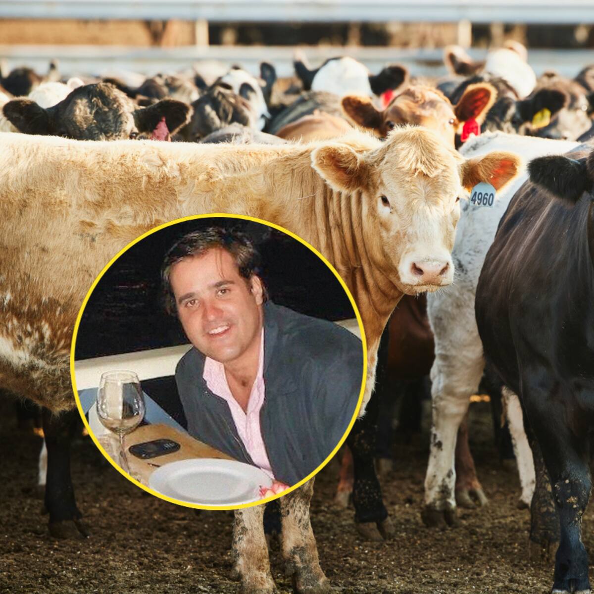 Pirámide ganadera de Felipe Rocha: así dividirán su fortuna para pagarle a las víctimas