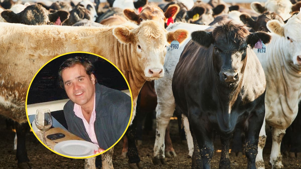 Pirámide ganadera: Martín Santos, una modelo y más estafados que esperan cobrar su plata