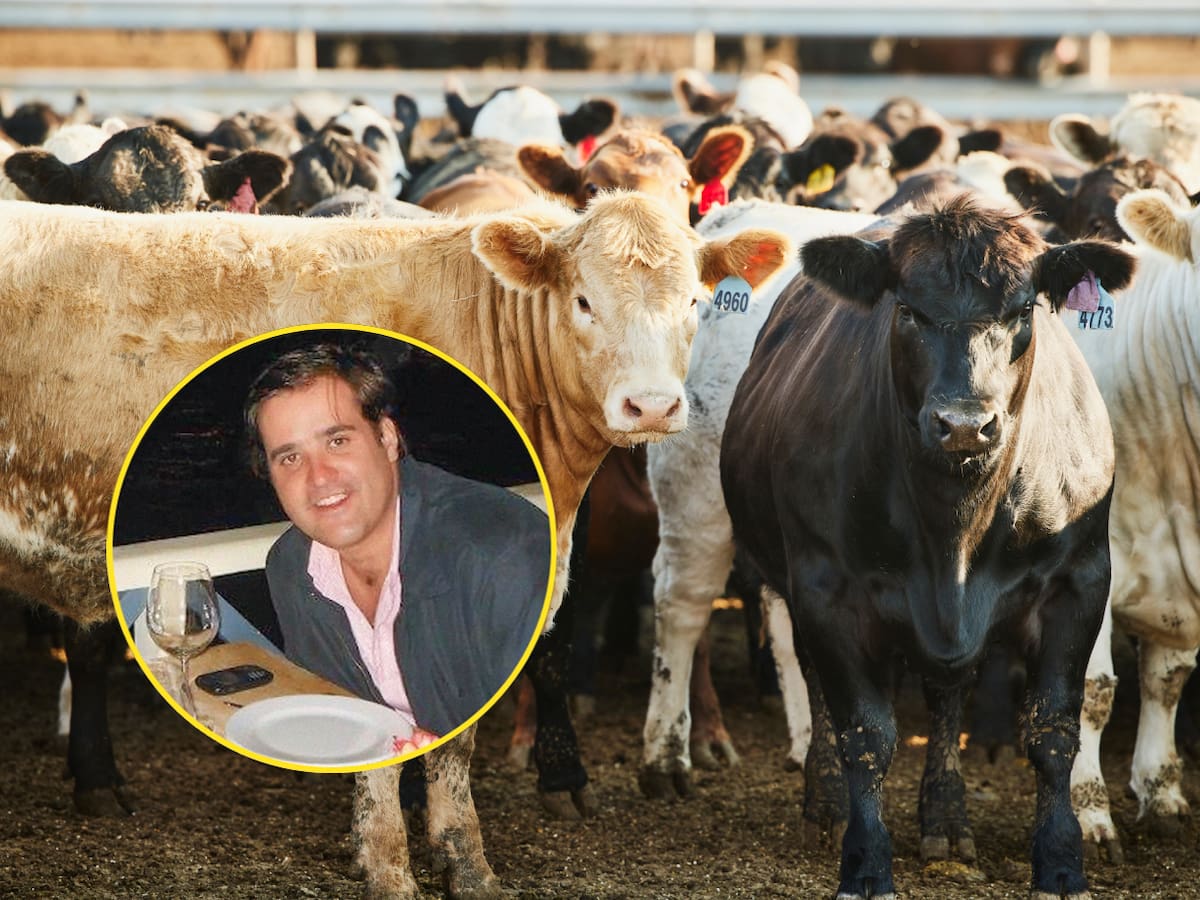 Pirámide ganadera: víctimas reclaman retrasos en imputación de cargos de Felipe Rocha