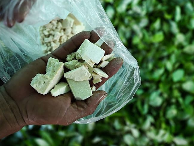 Los cultivos ilícitos de hoja de coca registraron un crecimiento de 17% hasta las 171.000 hectáreas. Foto: Getty Images