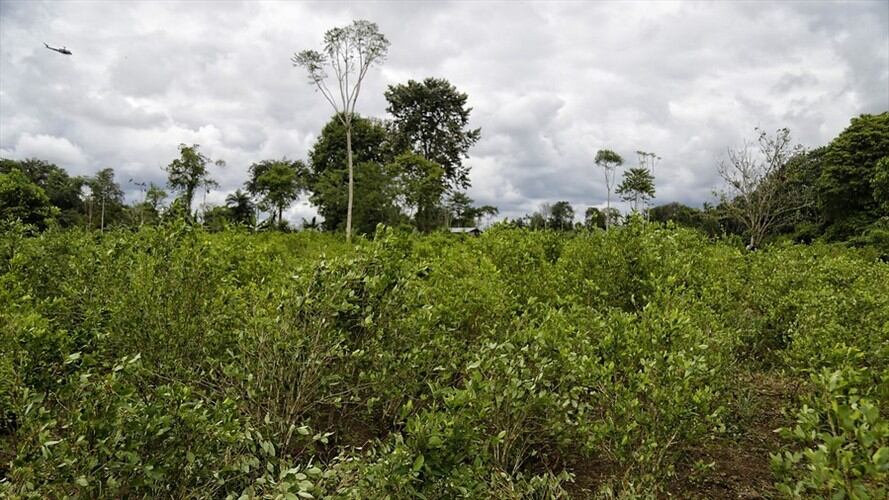 Imagen de referencia. Foto: Colprensa