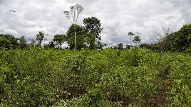 Imagen de referencia. Foto: Colprensa