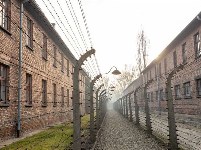 Nos decían &quot;entran por la puerta y salen por la chimenea&quot;: sobreviviente de Auschwitz