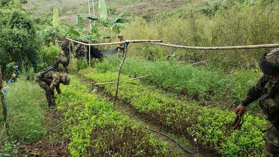 Ejército localiza depósito ilegal con explosivos en el sur del Cauca. Foto: Cortesía: Ejército Nacional