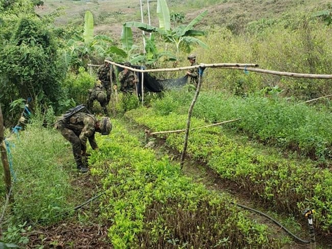 Ejército localiza depósito ilegal con explosivos en el sur del Cauca. Foto: Cortesía: Ejército Nacional