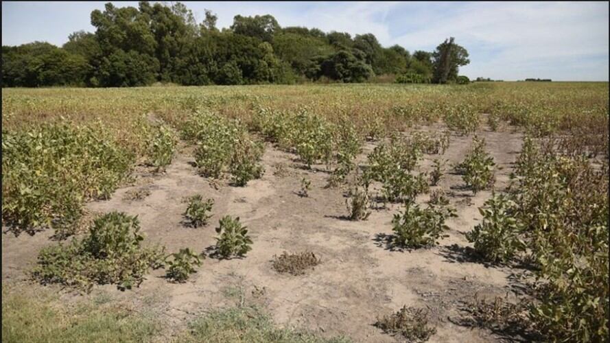 Imagen de referencia. Foto: Captura de pantalla