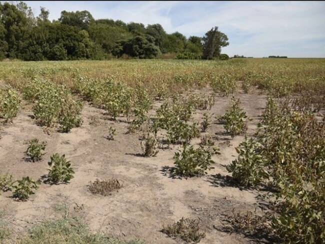 Imagen de referencia. Foto: Captura de pantalla